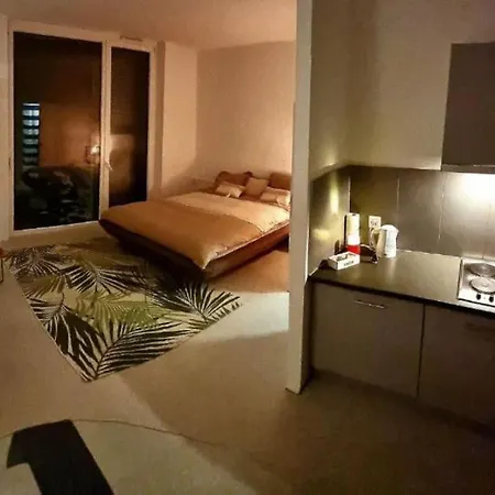 Modern Studio, De Lausanne * Le Mont-Sur-Lausanne